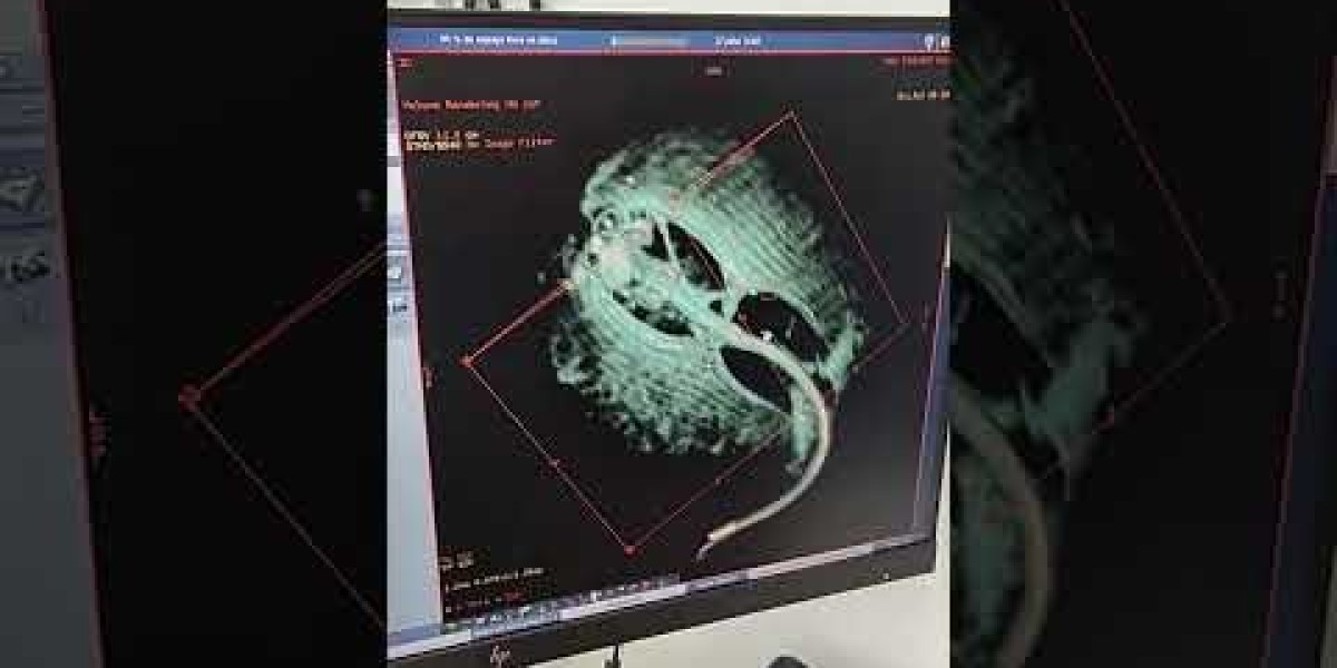 Cómo estabilizar a un animal con pericarditis efusiva
