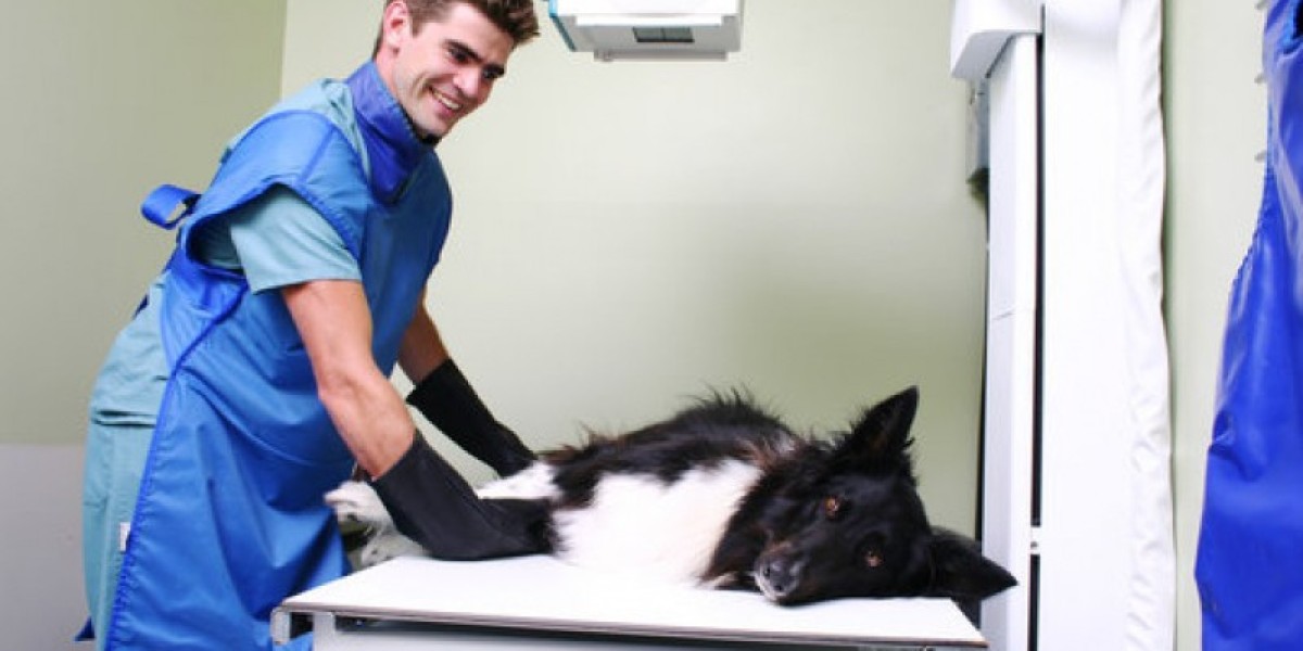 Echocardiography for Dogs & Cats