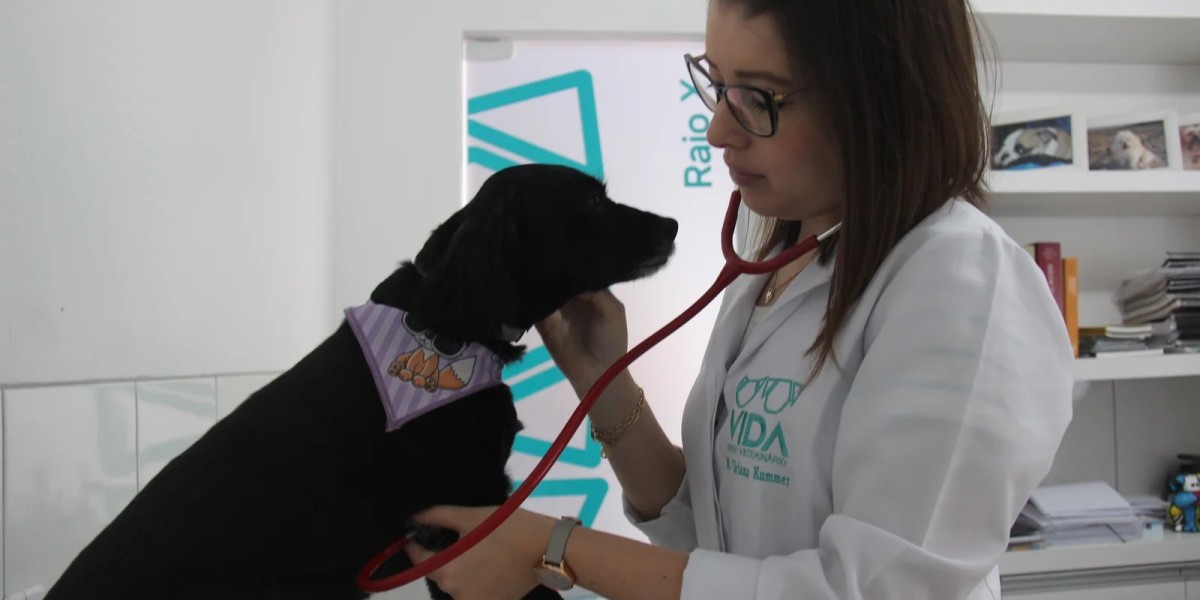 Eco Doppler Cardiaco Color: ¿Qué es y Cómo se Hace?