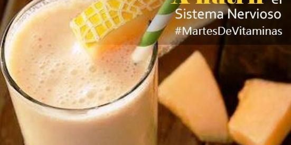 Ruda: propiedades, para qué sirve y contraindicaciones Guía completa
